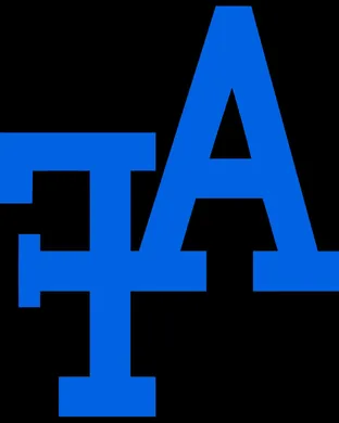 Air Force Falcons Saint George