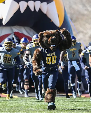 Northern Colorado Bears Cedar City