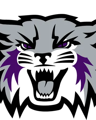 Weber State Wildcats Cedar City